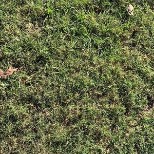 Meet your Posher, Madi